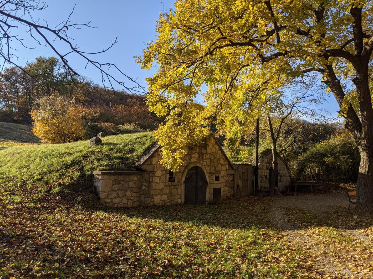 Bonito - Historischer Streckhof Villa Schuetzen am Gebirge Bagian luar foto